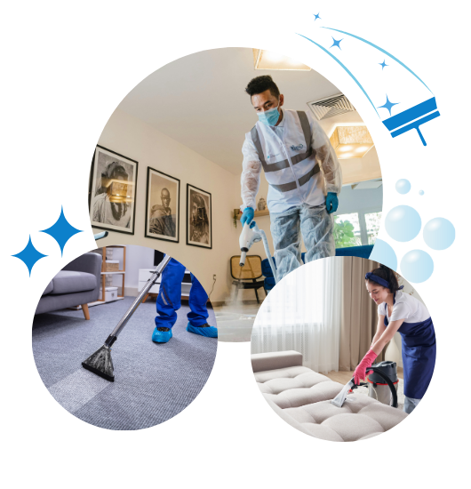 Professional Sofa Cleaning
